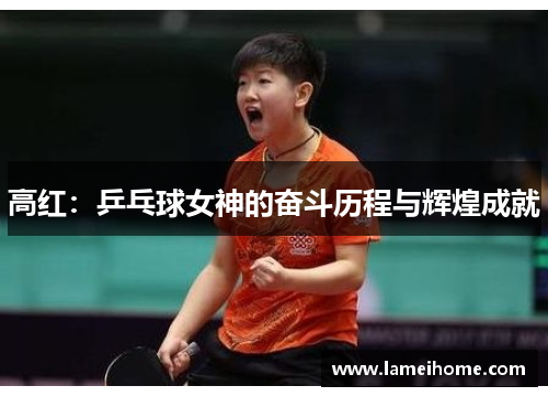高红：乒乓球女神的奋斗历程与辉煌成就