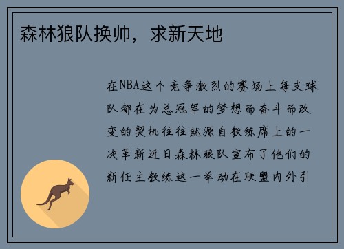 森林狼队换帅，求新天地