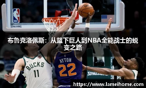 bsports登录入口