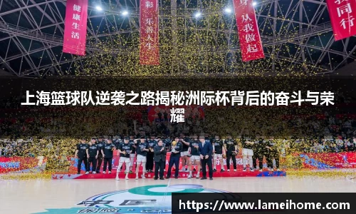 bsports官网入口